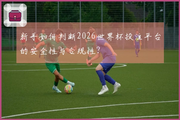 新手如何判断2026世界杯投注平台的安全性与合规性？
